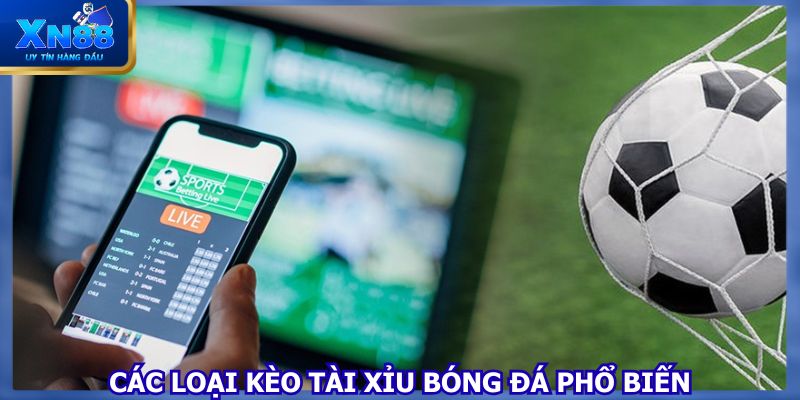 Các loại kèo phổ biến trong bóng đá và cách đọc cụ thể